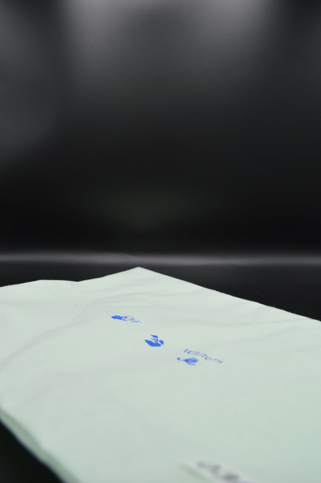 Off-white Floating Arrow blanc/violet - T43