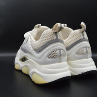 Dior B22 blanc/gris - T41